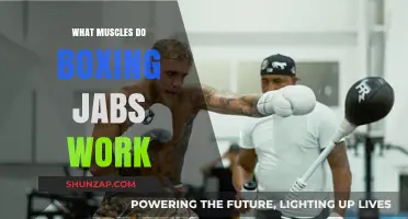 Boxing Jabs: Unlocking the Muscles Behind the Powerful Punch