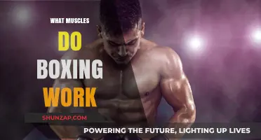 Boxing's Full-Body Benefits: Muscles Targeted in Every Punch and Move