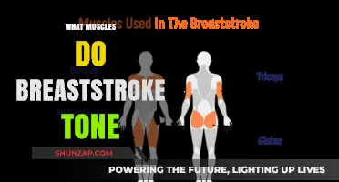 Breaststroke: Toning Your Body's Secret Weapon