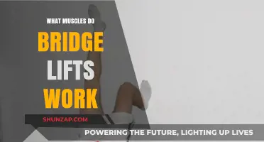 Bridge Lifts: Targeted Muscles and Benefits for Strength and Stability