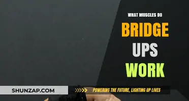 Bridge Ups: Targeting Glutes, Core, and Hamstrings for Strength