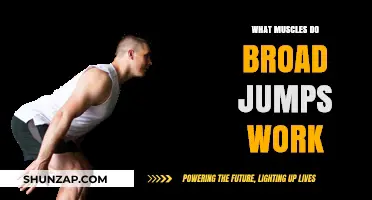 Broad Jumps: Targeted Muscles and Full-Body Benefits Explained