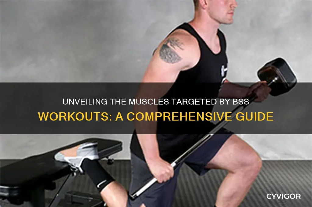 what muscles do bss work