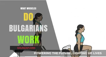 Bulgarian Split Squats: Targeted Muscles and Benefits Explained