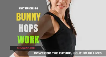 Bunny Hops: Targeted Muscles and Benefits for Lower Body Strength