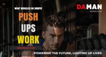 Burpee Push-Ups: Targeted Muscles and Full-Body Benefits Explained