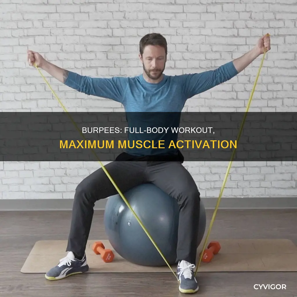 what muscles do burpees