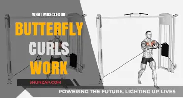 Butterfly Curls: Targeted Muscles and Benefits Explained