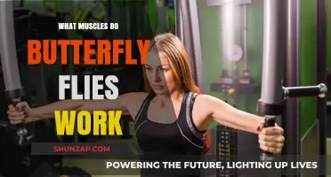 Butterfly Flies: Target Muscles and Benefits for Your Workout Routine