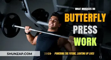 Butterfly Press Muscles: Targeted Chest, Shoulder, and Tricep Engagement Explained