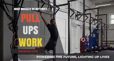 Butterfly Pull-Ups: Targeted Muscles and Benefits Explained