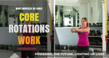 Cable Core Rotations: Targeted Muscles for a Stronger Midsection