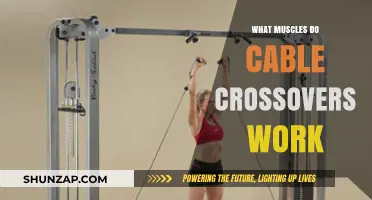 Cable Crossovers: Targeted Muscles and Benefits for Chest and Shoulders