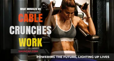Cable Crunches: Targeting Core Muscles for Strength and Definition