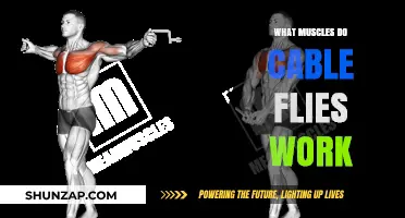 Cable Flies Muscles: Targeting Chest, Shoulders, and Upper Back Effectively