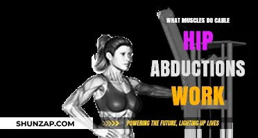 Cable Hip Abductions: Targeted Muscles and Benefits Explained