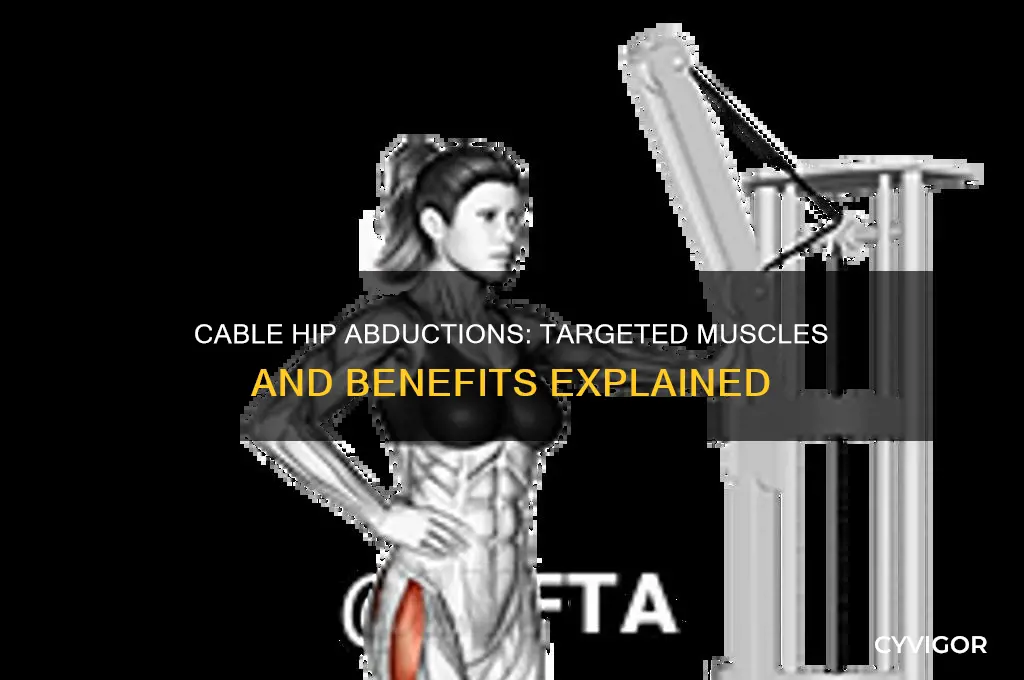 what muscles do cable hip abductions work
