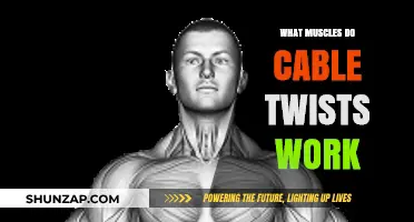 Cable Twists: Targeted Muscles for Core Strength and Stability