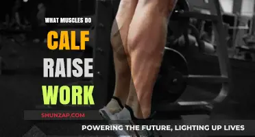 Calf Raise Muscles: Targeted Workout Benefits and Techniques Explained