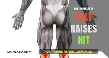 Unleashing Lower Leg Strength: The Power of Calf Raises Revealed