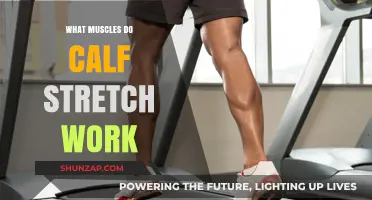 Calf Stretch Benefits: Targeted Muscles and Flexibility Explained