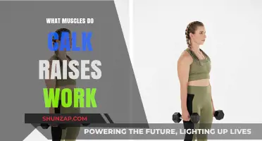 Calf Raises: Targeted Muscles and Benefits for Stronger Lower Legs