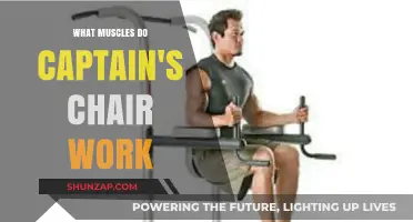 Captain's Chair Workout: Targeted Muscles for Core Strength and Stability