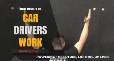 Muscles Car Drivers Engage: Uncovering the Physical Demands of Driving