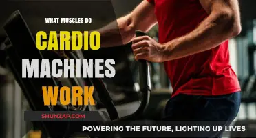 Cardio Machines: Target Muscles and Full-Body Benefits Explained