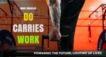 Carries Workout: Targeting Muscles for Strength and Stability