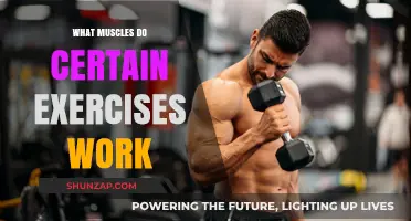 Targeted Training: Unlocking Muscle Groups with Specific Exercises