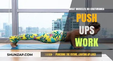 Chaturanga Push-Ups: Targeted Muscles and Strength Benefits Explained