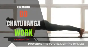 Chaturanga Muscles: Strengthening Core, Arms, and Shoulders in Yoga