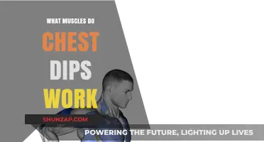 Chest Dips Muscles: Targeted Strength Training for Upper Body Power