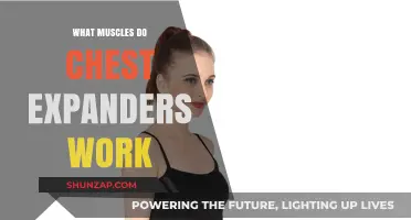 Chest Expanders: Targeted Muscles and Effective Workout Benefits Explained