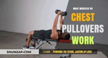 Chest Pullovers: Targeted Muscles and Benefits for Upper Body Strength