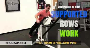 Chest Supported Rows: Targeted Muscles and Benefits Explained