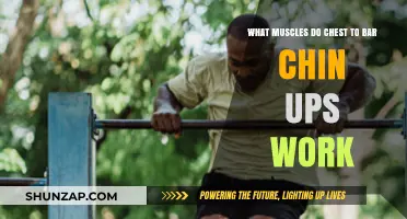 Chest-to-Bar Chin-Ups: Targeted Muscles and Strength Benefits Explained