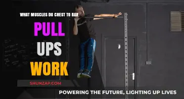 Chest-to-Bar Pull-Ups: Targeted Muscles and Strength Benefits Explained