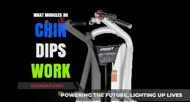 Chin Dips: Targeted Muscles and Benefits for Upper Body Strength