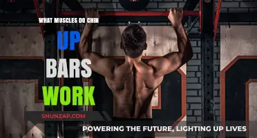 Chin Up Bars: Target Muscles and Strength Benefits Explained