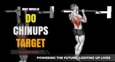 Chin-ups: Unlocking Upper-Body Muscle Power