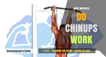 Chinups: Unlocking Upper Body Strength and Targeted Muscle Engagement