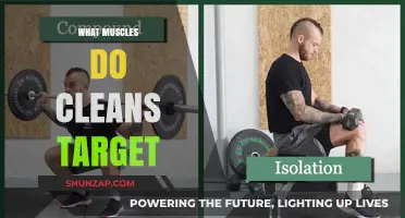 Cleans: Which Muscles Do They Target?