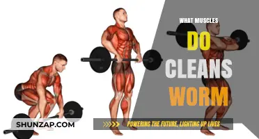 Cleans: The Full-Body Workout