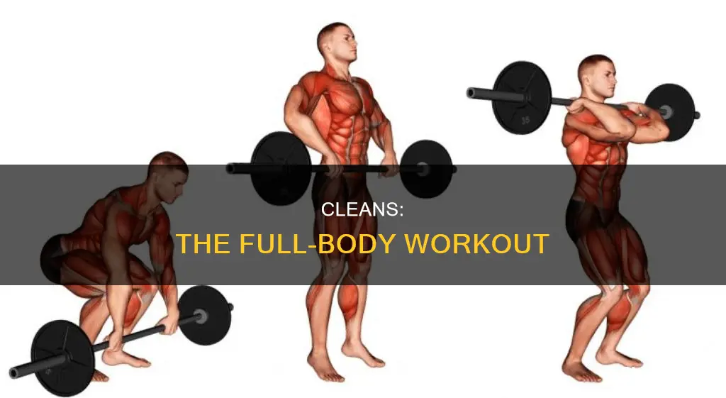 what muscles do cleans worm