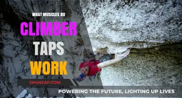 Climber Taps: Targeted Muscles and Benefits for Strength Training