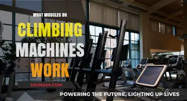 Climbing Machines: Target Muscles and Full-Body Benefits Explained
