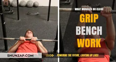 Close Grip Bench Press: Target Muscles and Workout Benefits Explained