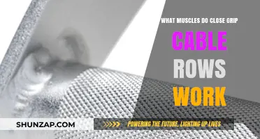 Close Grip Cable Rows: Target Muscles and Benefits Explained